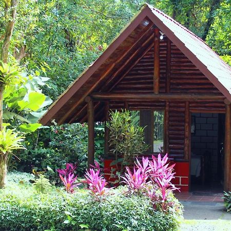 Arenal Oasis Eco Lodge & Wildlife Refuge La Fortuna Exterior photo