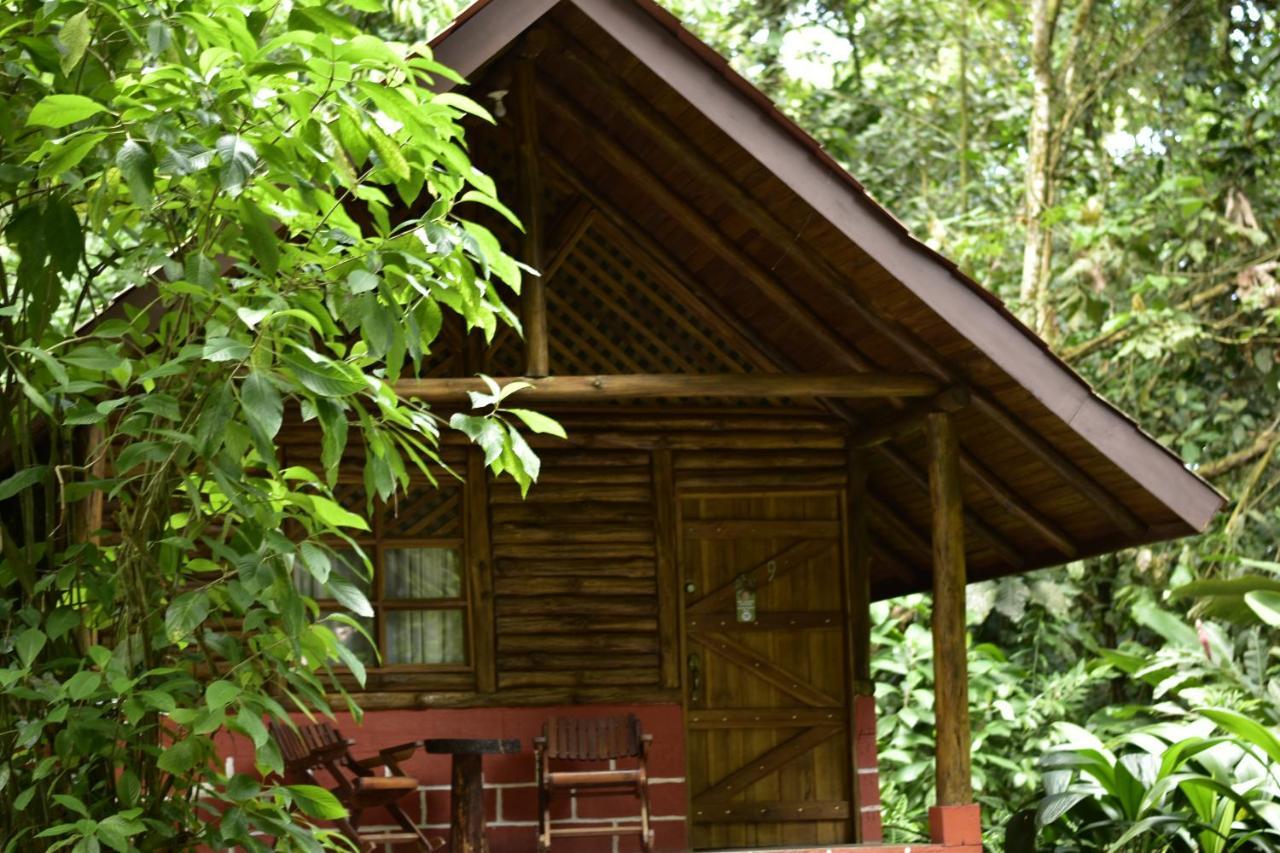 Arenal Oasis Eco Lodge & Wildlife Refuge La Fortuna Exterior photo